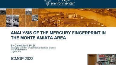 Analysis of the mercury fingerprint in the Monte Amiata area